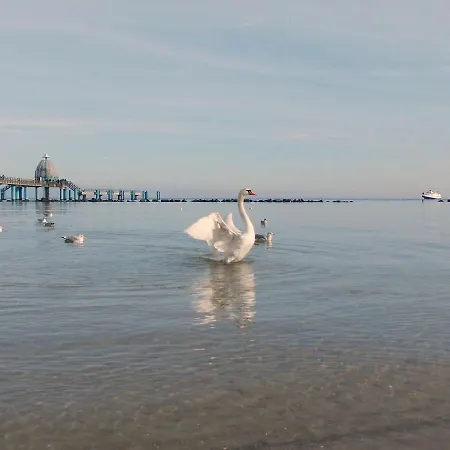 Villa Amapola - Odin *